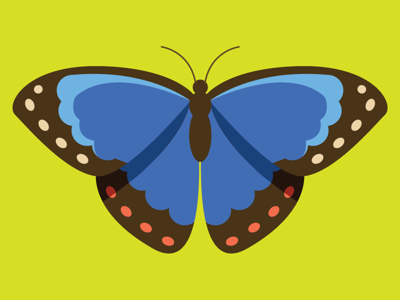 Illustration of a blue butterfly